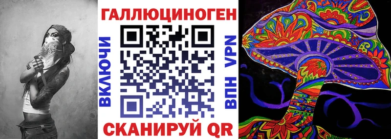 Псилоцибиновые грибы Psilocybine cubensis  omg как зайти  Осинники 
